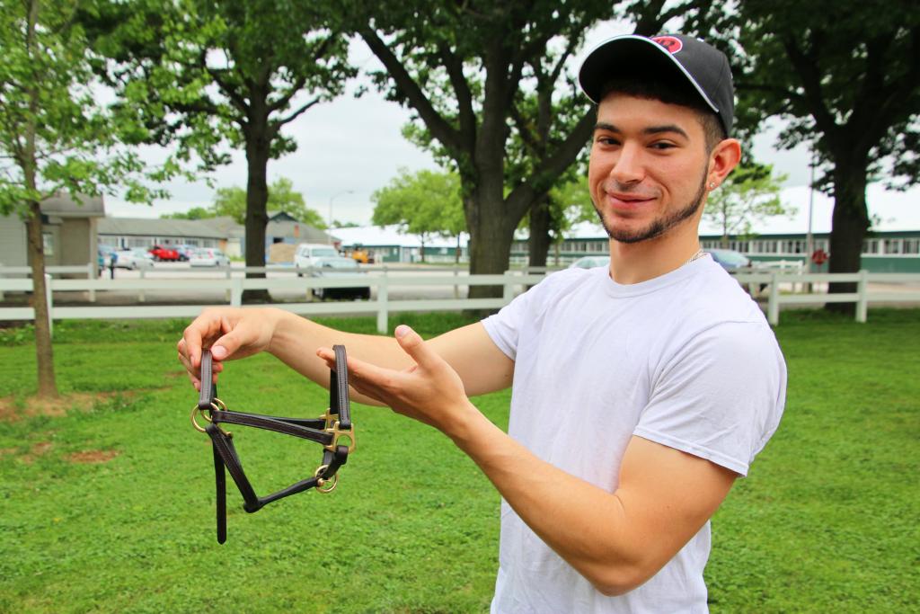 Falcone Jr. proudly shows off Cannoli's new leather halter. (Julie June Stewart photo)